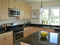 Granite and stainless kitchen